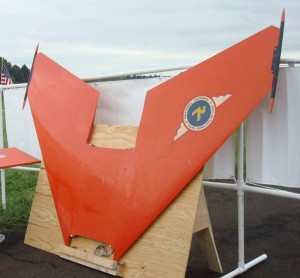 Drone Wing (800x742)